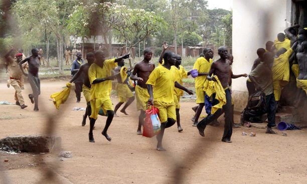 ARMED PRISON ESCAPEES: Prisons boss confirms 217 hardcore criminals are on the run with 14 guns