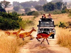 Dozens face eviction from Queen Elizabeth National park land