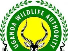 Buliisa Road accident claims life of UWA staff