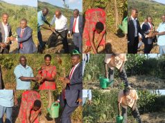South Western Regional Development Forum, Rotary Club of Kabale launch tree planting campaign in Kabale district