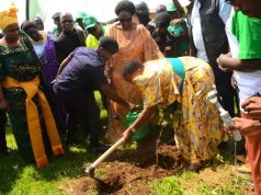 Museveni call on Ugandans to participate in tree planting campaigns