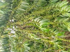 Farmers need to be trained in good practice- DR. IAN CLARKE