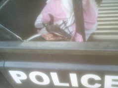 Man arrested selling rotten suspected stolen goat’s meat