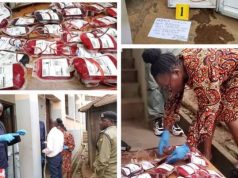 Police, State House Health Monitoring Unit Recover 57 Units of Stolen Blood in Mbale City Clinic