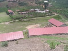 MUPA technical services ltd to sue Ntungamo district over contract termination