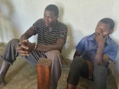 Serial thieves arrested stealing timber in Mitooma