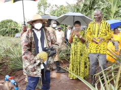 Museveni launches 4-acre model farming in Greater Kibaale Districts