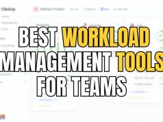 Best Workload Management Software for Teams in 2024