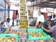 CSOs concerned with Governmentās limited investment in Agro-industries