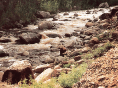 Morrison Rwakakamba! How Effective are Uganda’s Environment Policies?