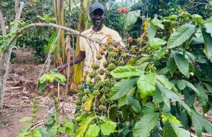 ASUMANI KIYINGI AND THE MANUFACTURING OF A POLITICAL VACUUM IN UGANDA- By Morrison Rwakakakamba