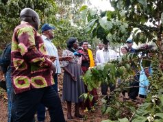 Mbale Farmers Benchmark Rukungiri Agricultural Practices to Boost Yields