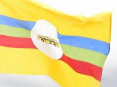 Kagadi District boss retains NRM party flag