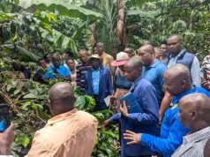Kancerere Parishioners benchmark coffee farming at Boaz Rutera’s Rukungiri farm