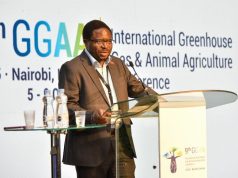 Global Climate-Livestock Conference Comes to Africa for the First Time