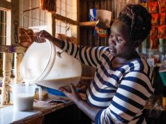 First ever large-scale climate funding targets low-emission, climate-resilient dairy systems in East Africa