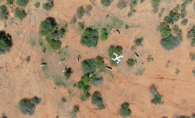 IMG-20251215-WA0056(1)