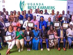 How dfcu is Powering Agribusiness Transformation: The Story of Patrick Olobo
