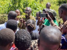 World Environment Day 2026: dfcu Bank and UTGA Champion Climate Resilience Through Tree Planting and Grower Training