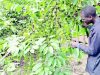 dfcu Bank and Best Farmers Awards Enable Hasting Coffee Centre to Transform Northern Uganda’s Coffee Value Chain