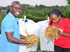Q&A WITH PISON BUSINGYE, ITUNGO PASTURES
