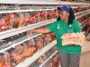 How dfcu Bank Is Financing the Growth of Dem Poultry Farm into a Regional Agribusiness