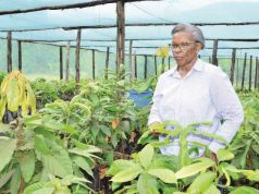 From Cocoa Farmer to Agribusiness Leader: How Global Exposure Expanded Joan Kantu’s Vision