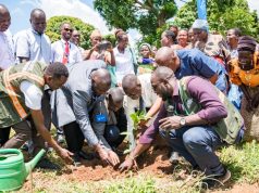 Centenary Bank, Catholic Church And Good Forests Foundation Uganda Partner To Grow 12,000trees In Busoga Sub Region