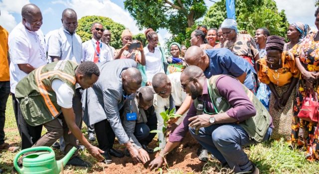 Centenary Bank, Catholic Church And Good Forests Foundation Uganda Partner To Grow 12,000trees In Busoga Sub Region