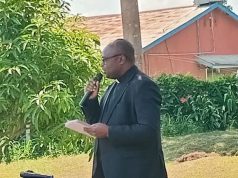 Catholic Church partner with Good Forests Foundation Uganda to plant 500,000 trees
