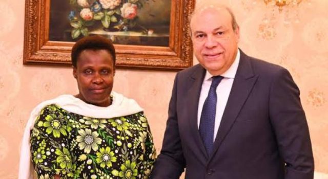Vice President Alupo addresses the 8th African Union Mid-Year Coordination Meeting